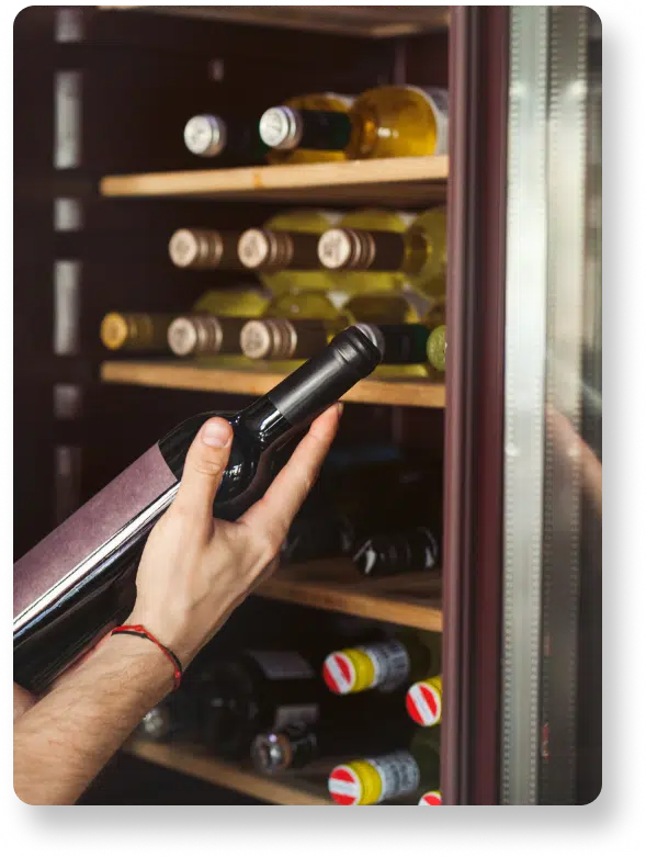 Wine Fridge Repair